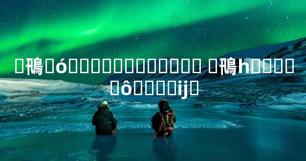 �鳵�ó�ɶ�ӳ�����ܻ�ӭ �鳵һ����ʲô���ӵĳ�